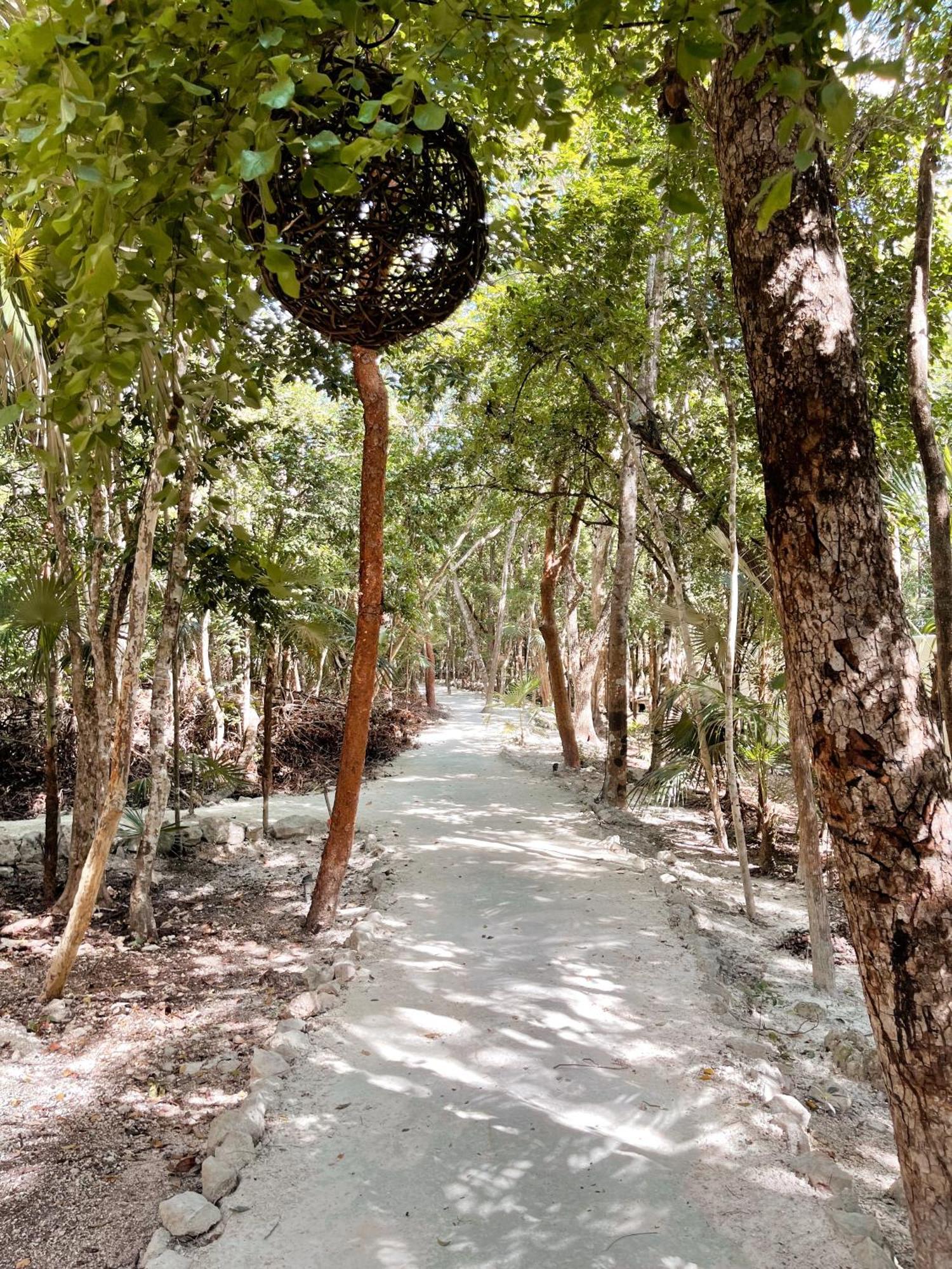 Kataleya Tulum: Luxury Jungle Penthouse With Private Pool Apartamento *
